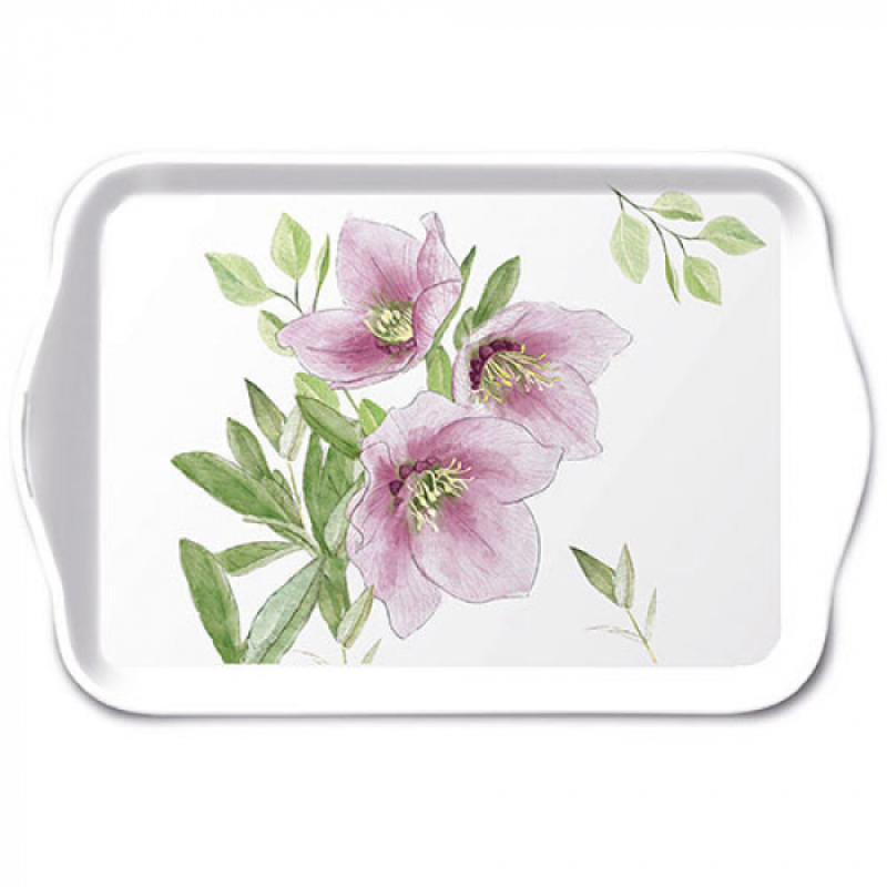 classic helleborus tray